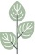 Olympic Lawn & Landscape LLC Logo